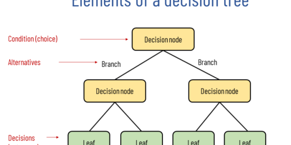 Decision Tree Analysis: Extracting Transparent Business Rules for Operational Policy Automation