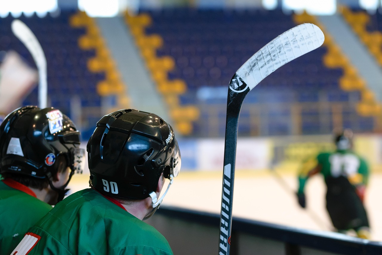 Hockey game, stadion, ice skating rink — Find Daily Promotions with No Deposit Casinos